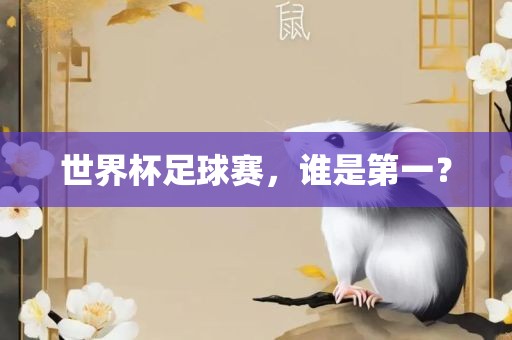 世界杯足球赛，谁是第一？