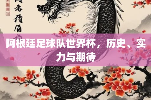 阿根廷足球队世界杯，历史、实力与期待