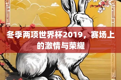 冬季两项世界杯2019，赛场上的激情与荣耀漯河市盈旭机械设备有限公司