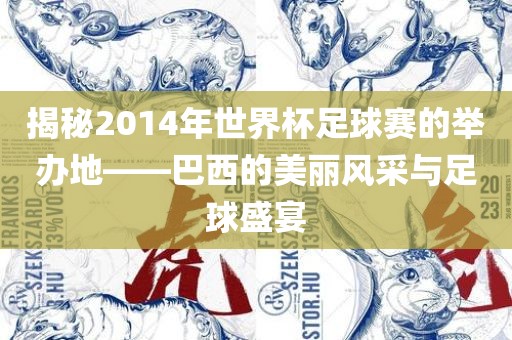 揭秘2014年世界杯足球赛的举办地——巴西的美丽风采与足球盛宴