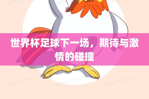 世界杯足球下一场，期待与激情的碰撞