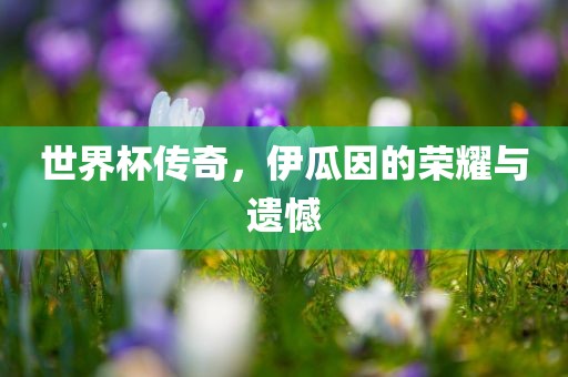 世界杯传奇，伊瓜因的荣耀与遗憾