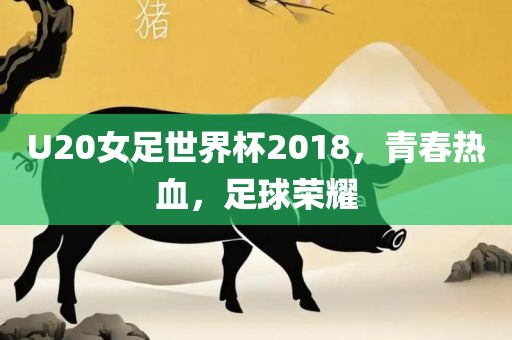 U20女足世界杯2018，青春热血，足球荣耀