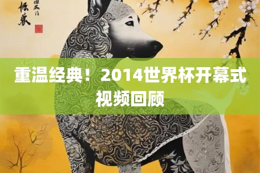 重温经典！2014世界杯开幕式视频回顾