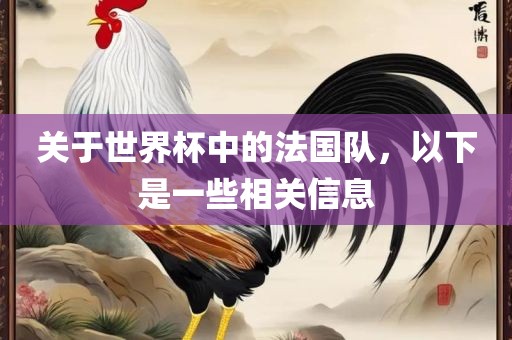 关于世界杯中的法国队，以下是一些相关信息