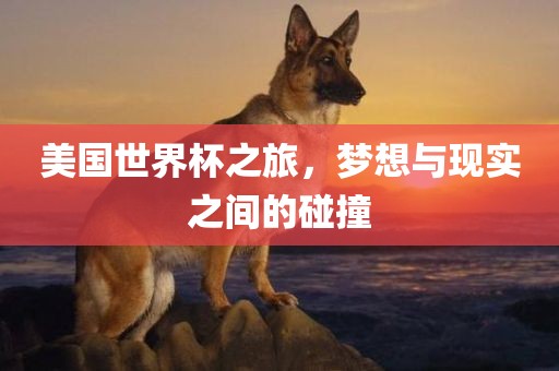 美国世界杯之旅，梦想与现实之间的碰撞