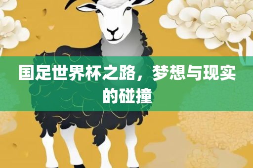 国足世界杯之路，梦想与现实的碰撞