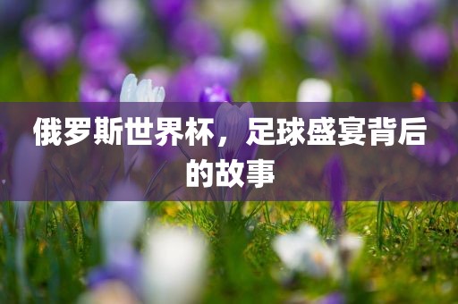 俄罗斯世界杯，足球盛宴背后的故事