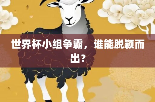世界杯小组争霸，谁能脱颖而出？