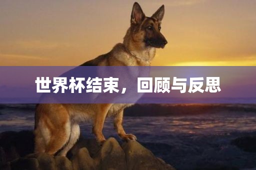 世界杯结束，回顾与反思