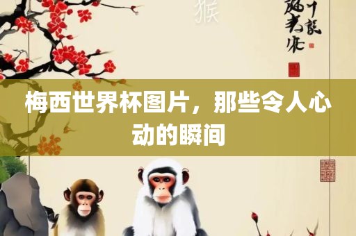 梅西世界杯图片，那些令人心动的瞬间