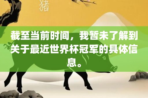 截至当前时间，我暂未了解到关于最近世界杯冠军的具体信息。