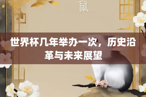 世界杯几年漯河市盈旭机械设备有限公司举办一次，历史沿革与未来展望