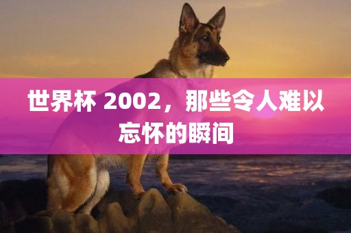世界杯 2002，那些令人难以忘怀的瞬间