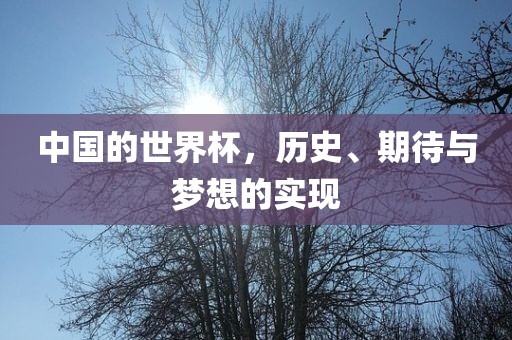 中国的世界杯，历史、期待与梦想的实现漯河市盈旭机械设备有限公司