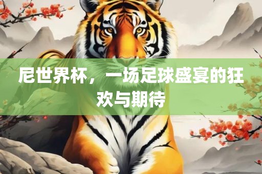尼世界杯，一场足球盛宴的狂欢与期待