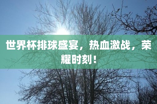 世界杯排球盛宴，热血激战，荣耀时刻！