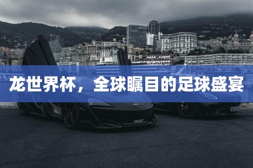 龙世界杯，全球瞩目的足球盛宴