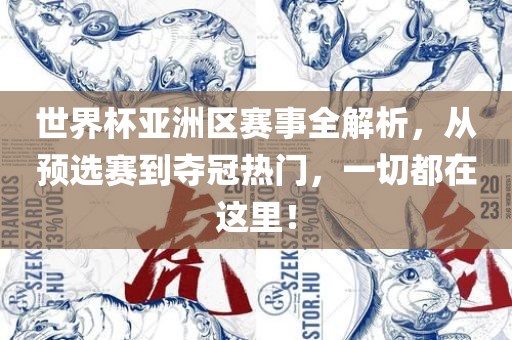 世界杯亚洲区赛事全解析，从预选赛到夺冠热门，一切都在这里！