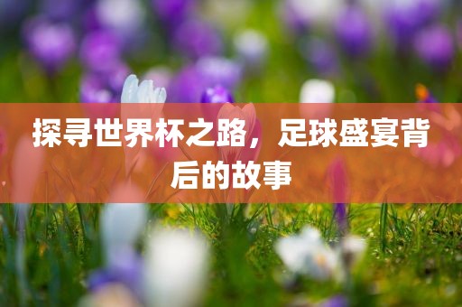 探寻世界杯之路，足球盛宴背后的故事