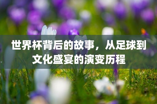 世界杯背后的故事，从足球到文化盛宴的演变历程