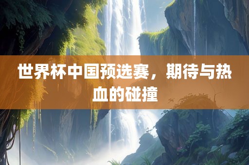 世界杯中国预选赛，期待与热血的碰撞