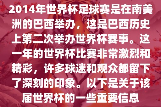 2014年世界杯足球赛是在南美洲的巴西举办，这是巴西历史上第二次举办世界杯赛事。这一年的世界杯比赛非常激烈和精彩，许多球迷和观众都留下了深刻的印象。以下是关于该届世界杯的一些重要信息漯河市盈旭机械设备有限公司