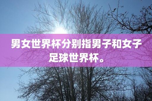 男女世界杯分别指男子和女子足球世界杯。
