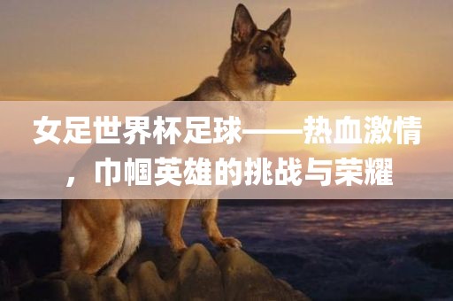 女足世界杯足球——热血激情，巾帼英雄的挑战与荣耀漯河市盈旭机械设备有限公司