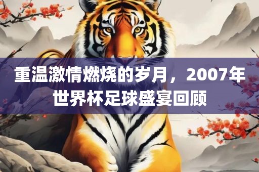 重温激情燃烧的岁月，2007年世界杯足球盛宴回顾