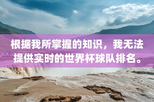 根据我所掌握的知识，我无法提供实时的世界杯球队排名。
