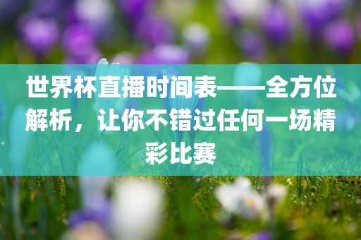 世界杯直播时间表——全方位解析，让你不错过任何一场精彩比赛