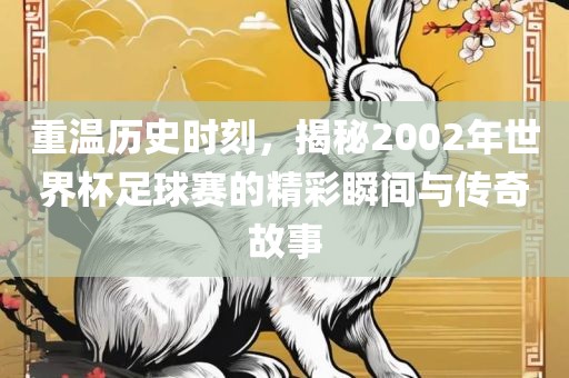 重温历史时刻，揭秘2002年世界杯足球赛的精彩瞬间与传奇故事