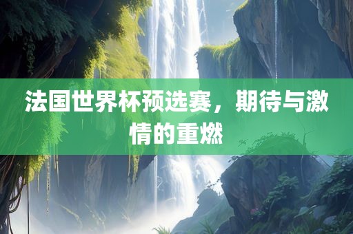 法国世界杯预选赛，期待与激情的重燃