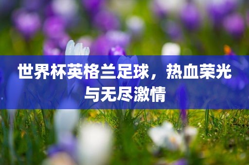 世界杯英格兰足球，热血荣光与无尽激情漯河市盈旭机械设备有限公司