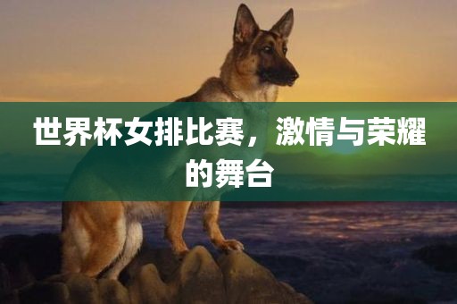 世界杯女排比赛，激情与荣耀的舞台