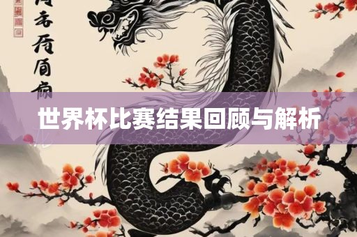 世界杯比赛结果回顾与解析