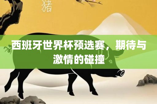 西班牙世界杯预选赛，期待与激情的碰撞