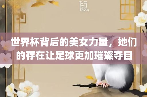 世界杯背后的美女力量，她们的存在让足球更加璀璨夺目漯河市盈旭机械设备有限公司