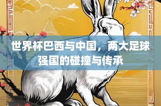 世界杯巴西与中国，两大足球强国的碰撞与传承
