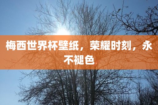 梅西世界杯壁纸，荣耀时刻，永不褪色