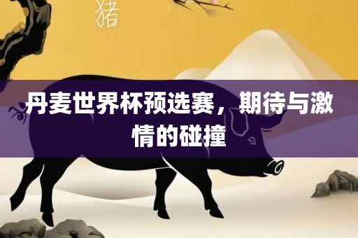 丹麦世界杯预选赛，期待与激情的碰撞