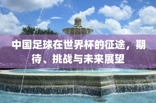 中国足球在世界杯的征途，期待、挑战与未来展望漯河市盈旭机械设备有限公司