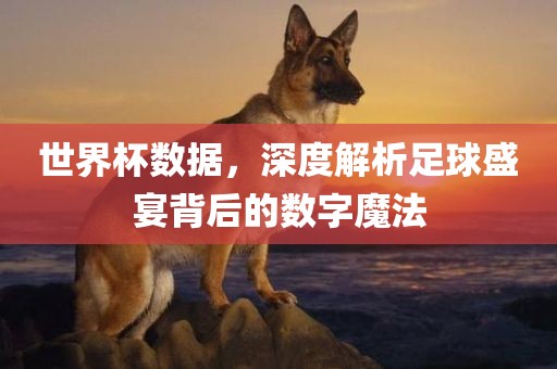 世界杯数据，深度解析足球盛宴背后的数字魔法