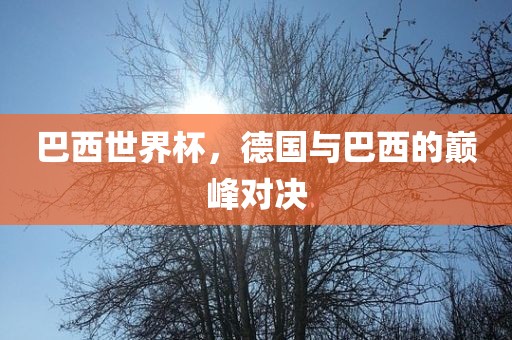巴西世界杯，德国与巴西的巅峰对决