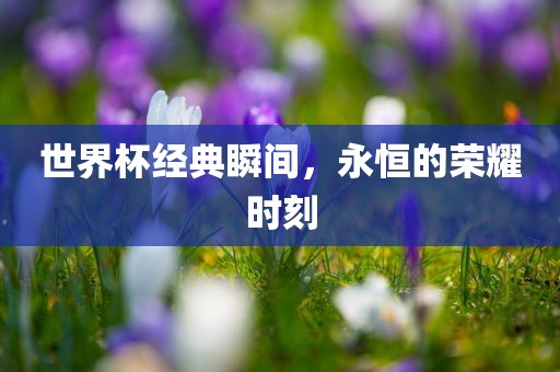 世界杯经典瞬间，永恒的荣耀时刻