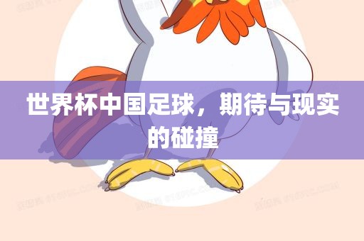 世界杯中国足球，期待与现实的碰撞
