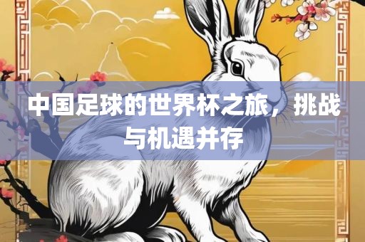 中国足球的世界杯之旅，挑战与机遇并存