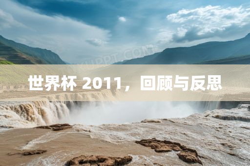 世界杯 2011，回顾与反思