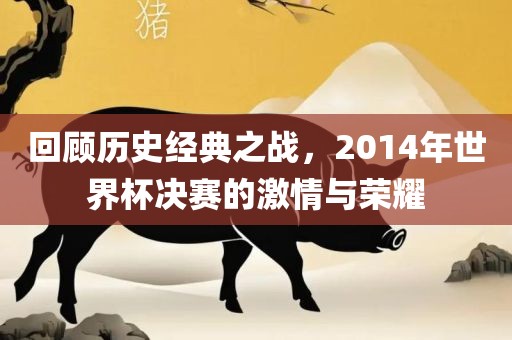 回顾历史经典之战，2014年世界杯决赛的激情与荣耀